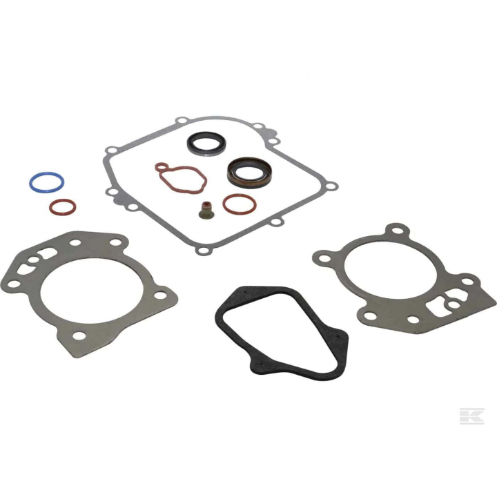 Kit guarnizioni B&S 595350 nel gruppo I Pezzi Di Ricambio / Ricambi Briggs & Stratton presso GPLSHOP (5822886-23)