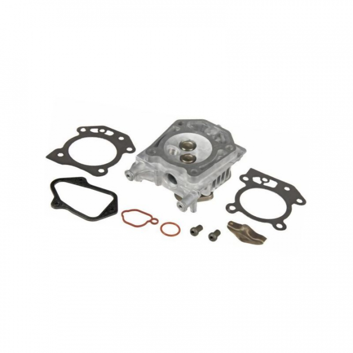 Testata cilindro B&S 595351 nel gruppo I Pezzi Di Ricambio / Ricambi Briggs & Stratton presso GPLSHOP (5822888-06)
