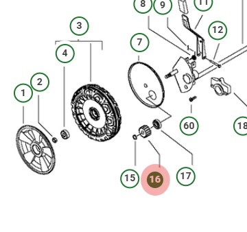 Pignone Pm, 11T, radice D 21,25 mm nel gruppo presso GPLSHOP (5827017-01)