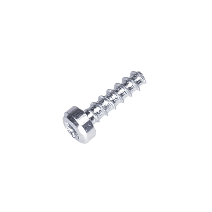 Vite St4.2*15B 5828555-01 nel gruppo presso GPLSHOP (5828555-01)