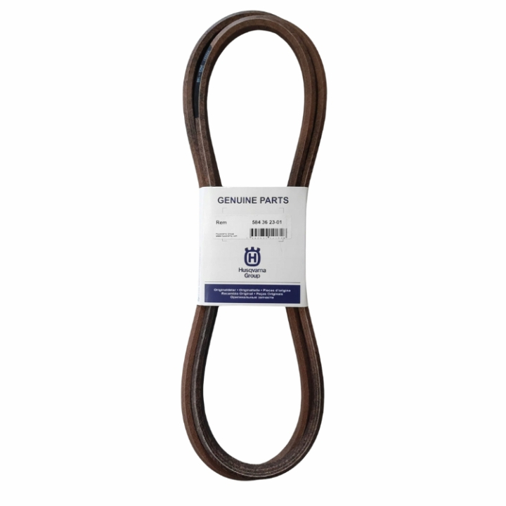 Cinghia 5843623-01 nel gruppo  presso GPLSHOP (5843623-01)