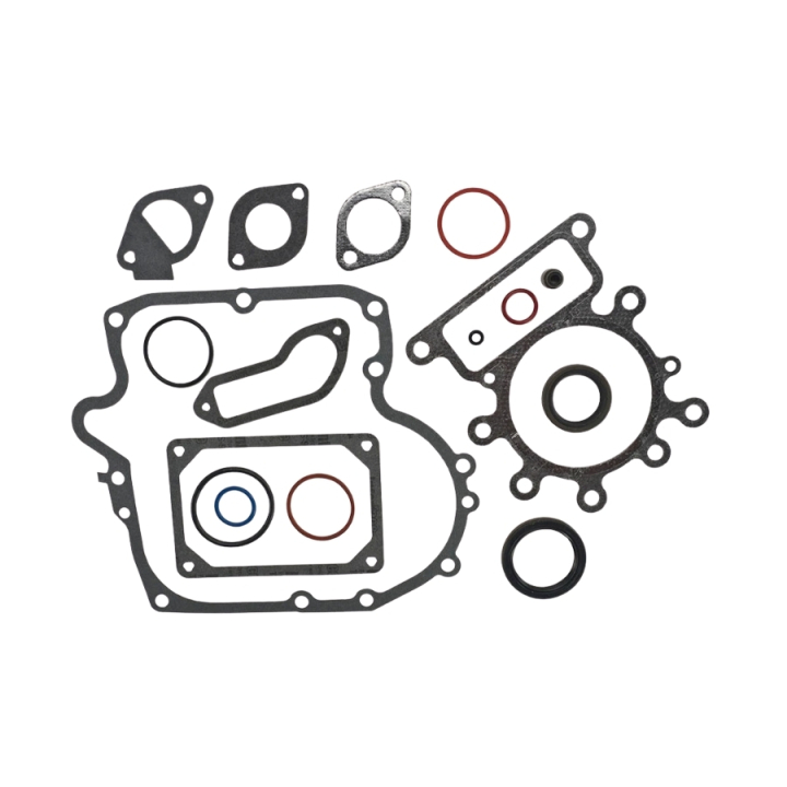 Kit guarnizioni nel gruppo presso GPLSHOP (5852429-01)