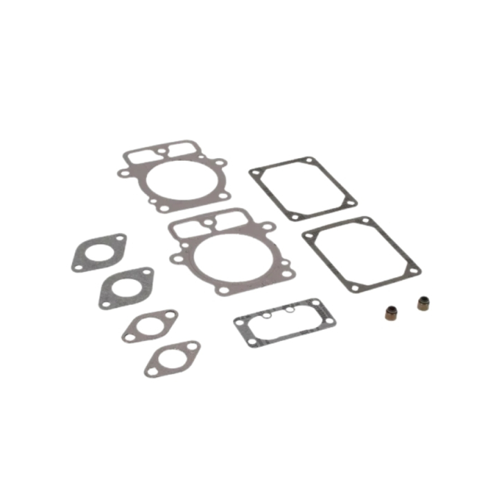 Kit guarnizioni nel gruppo  presso GPLSHOP (5854500-01)
