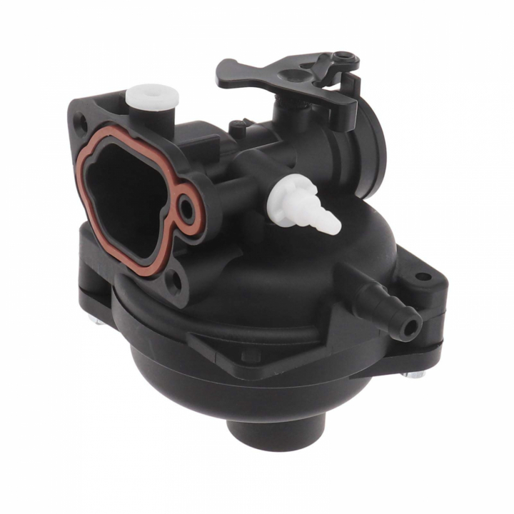 Carburatori B&S 591979 nel gruppo I Pezzi Di Ricambio / Ricambi Briggs & Stratton presso GPLSHOP (5858921-01)