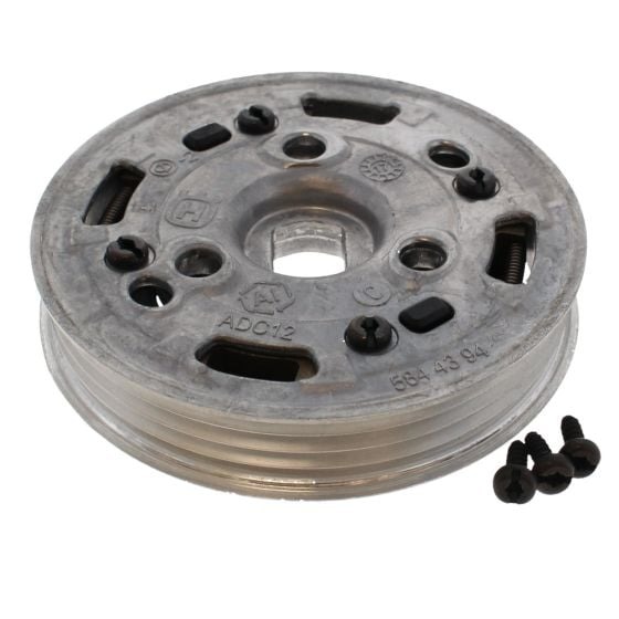 Gruppo puleggia nel gruppo  presso GPLSHOP (5863070-02)