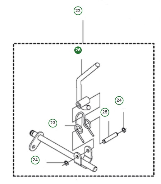Fegato nel gruppo  presso GPLSHOP (5867088-01)