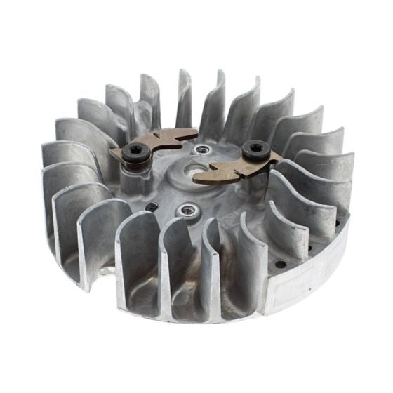 Gruppo volano nel gruppo  presso GPLSHOP (5872488-01)