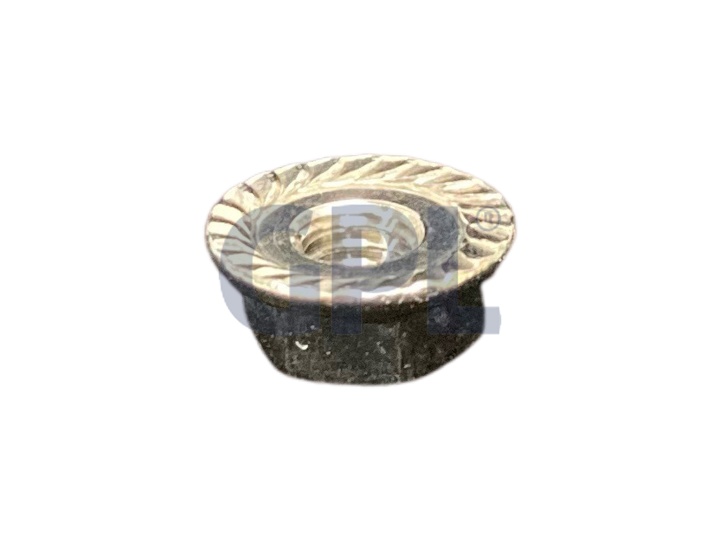 HEXAGON NUT FLANGE nel gruppo I Pezzi Di Ricambio / Pezzi di ricambio Tagliasiepi / Pezzi di ricambio Husqvarna 325HE4 presso GPLSHOP (5882221-01)