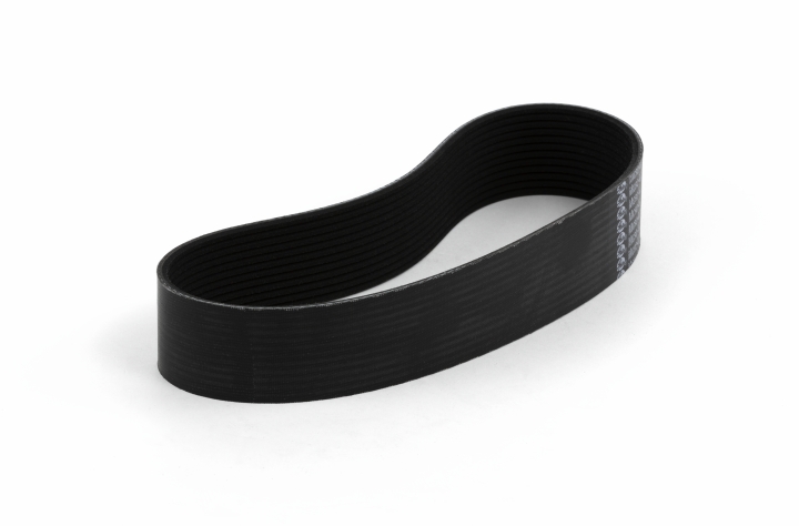 Cinghia nel gruppo presso GPLSHOP (5887685-01)