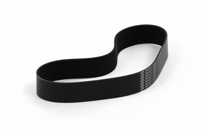 Cinghia nel gruppo presso GPLSHOP (5887686-01)