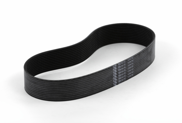 Cinghia nel gruppo  presso GPLSHOP (5887687-01)