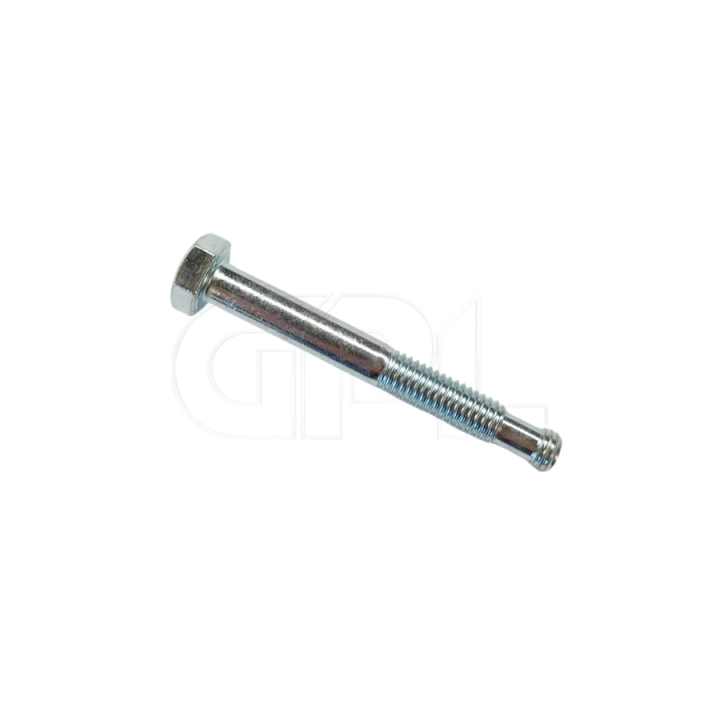 Bullone Speciale nel gruppo presso GPLSHOP (5897800-01)