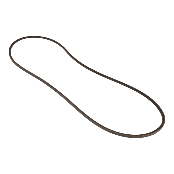 Cinghia nel gruppo  presso GPLSHOP (5899741-01)