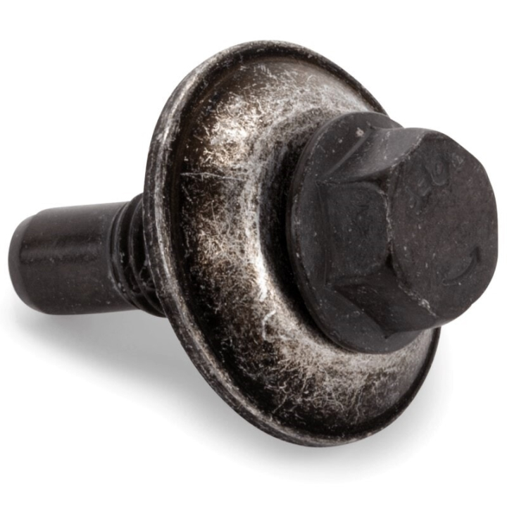 Vite di montaggio nel gruppo  presso GPLSHOP (5905038-01)