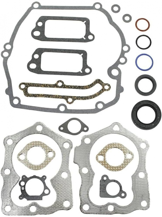 Insieme della guarnizione nel gruppo I Pezzi Di Ricambio / Ricambi Briggs & Stratton presso GPLSHOP (590508)