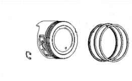  nel gruppo  presso GPLSHOP (590662)