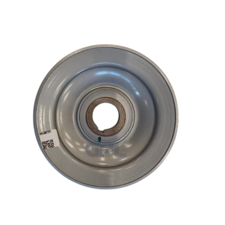 Gruppo Puleggia Pto Spa Dp112 5907016-01 nel gruppo  presso GPLSHOP (5907016-01)