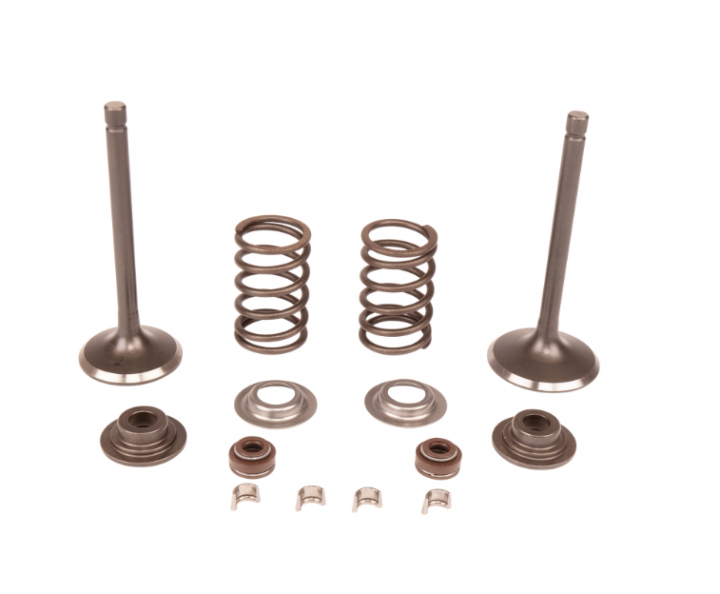 Kit kit di manutenzione, valvola nel gruppo I Pezzi Di Ricambio / Pezzi di ricambio Rider presso GPLSHOP (5909717-01)