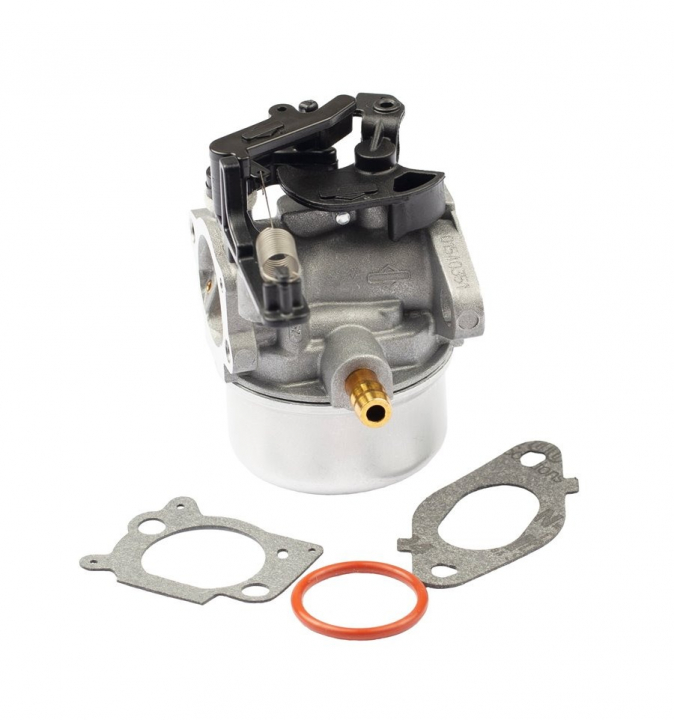Carburatore nel gruppo I Pezzi Di Ricambio / Ricambi Briggs & Stratton presso GPLSHOP (591137)