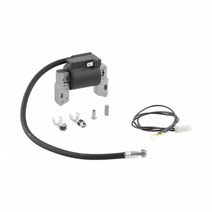 Bobina di accensione (Top100) nel gruppo I Pezzi Di Ricambio / Ricambi Briggs & Stratton presso GPLSHOP (591420)