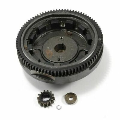 Volano nel gruppo I Pezzi Di Ricambio / Ricambi Briggs & Stratton presso GPLSHOP (591759)