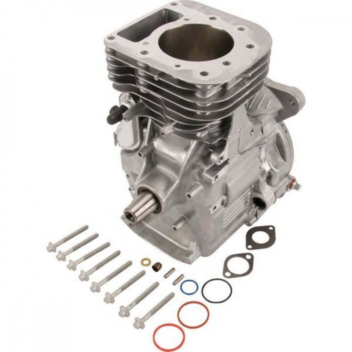 Sb Modello 31 Vert nel gruppo I Pezzi Di Ricambio / Ricambi Briggs & Stratton presso GPLSHOP (592060A)