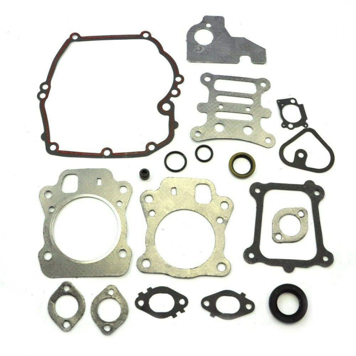 Motore del set di guarnizioni nel gruppo I Pezzi Di Ricambio / Ricambi Briggs & Stratton presso GPLSHOP (592173)