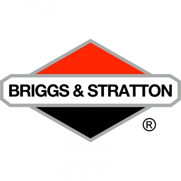 Sigillatura della rondella nel gruppo I Pezzi Di Ricambio / Ricambi Briggs & Stratton presso GPLSHOP (592489)