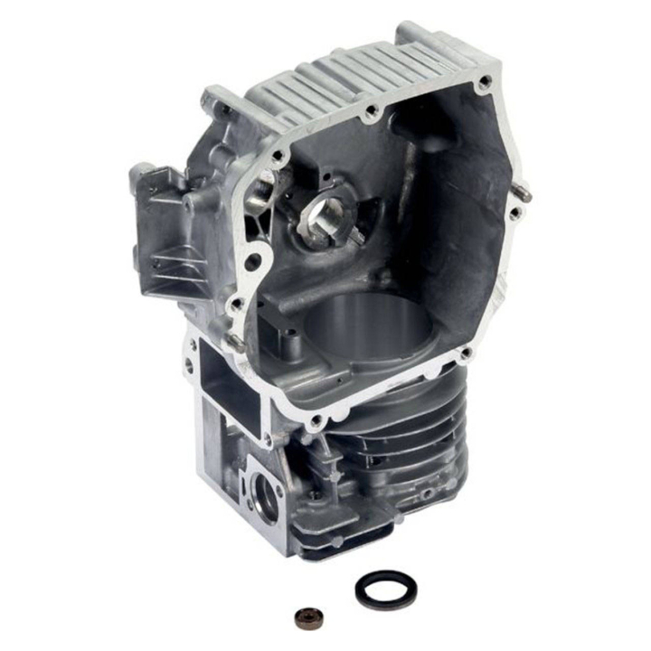  nel gruppo I Pezzi Di Ricambio / Ricambi Briggs & Stratton presso GPLSHOP (592645)