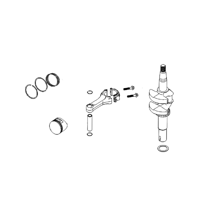 Pistone Assy Rv175 Pistone E R 5930562-01 nel gruppo  presso GPLSHOP (5930562-01)
