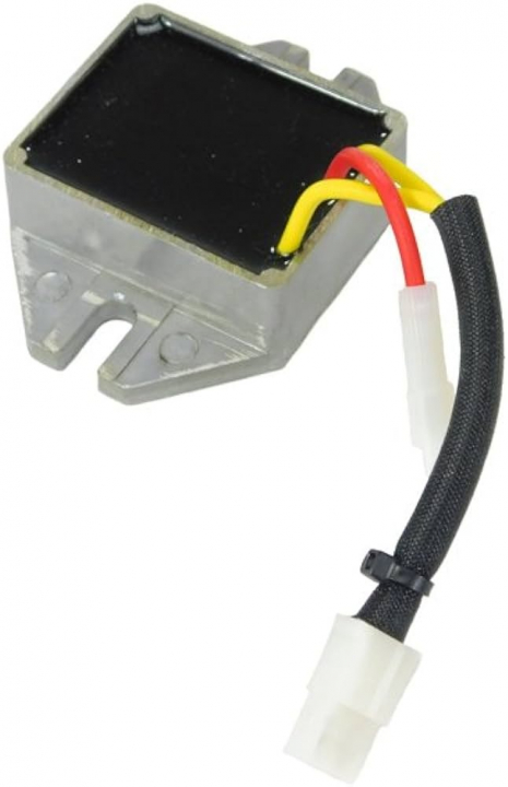 Regolatore nel gruppo I Pezzi Di Ricambio / Ricambi Briggs & Stratton presso GPLSHOP (593490)