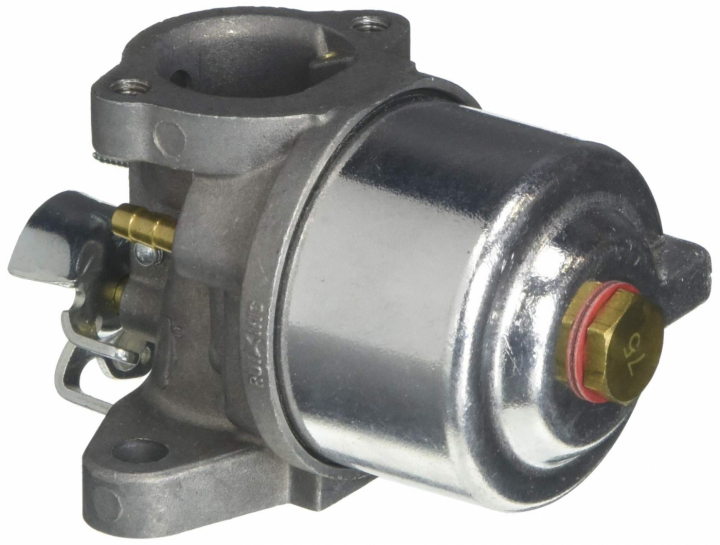 Carburatore nel gruppo I Pezzi Di Ricambio / Ricambi Briggs & Stratton presso GPLSHOP (594015)