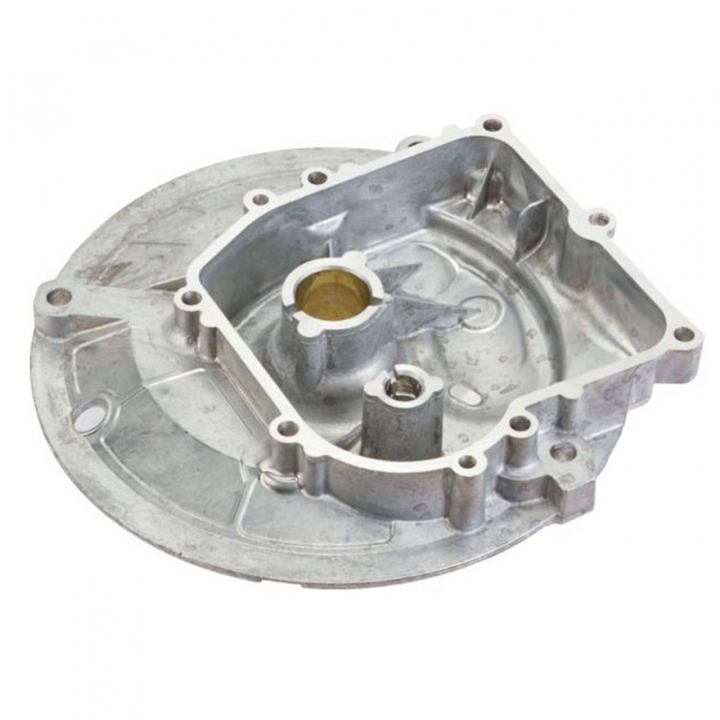 Coppa nel gruppo I Pezzi Di Ricambio / Ricambi Briggs & Stratton presso GPLSHOP (594101)