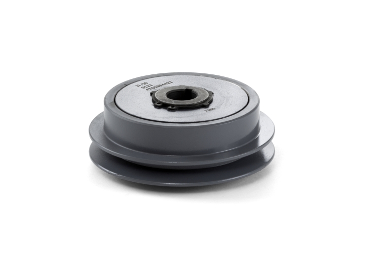 Frizione centrifuga nel gruppo  presso GPLSHOP (5944858-01)