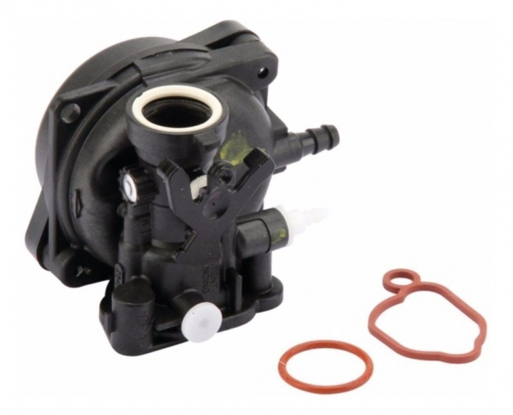 Carburatore nel gruppo I Pezzi Di Ricambio / Ricambi Briggs & Stratton presso GPLSHOP (594576)