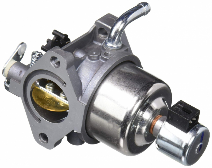 Carburatore nel gruppo I Pezzi Di Ricambio / Ricambi Briggs & Stratton presso GPLSHOP (594605)