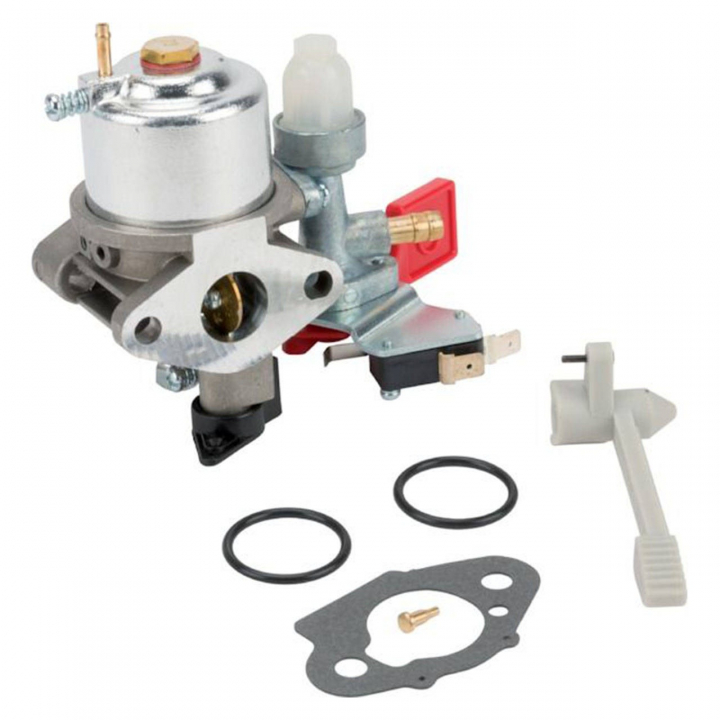 Carburatore nel gruppo  presso GPLSHOP (595318)