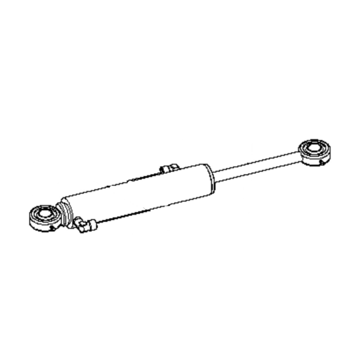 Cilindro idraulico nel gruppo  presso GPLSHOP (5953196-01)