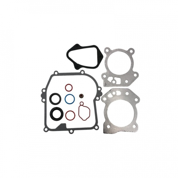 Kit guarnizioni nel gruppo  presso GPLSHOP (595350)