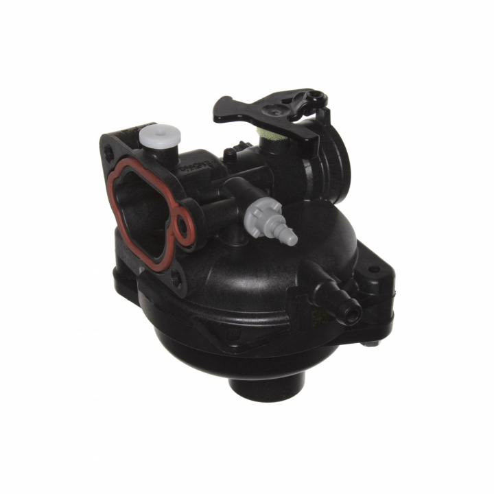 Carburatore nel gruppo I Pezzi Di Ricambio / Ricambi Briggs & Stratton presso GPLSHOP (595656)