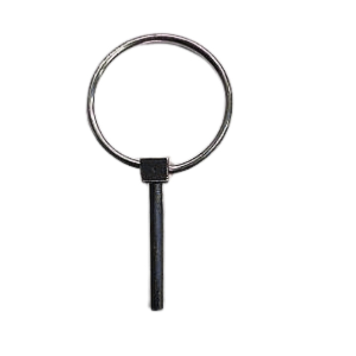  nel gruppo  presso GPLSHOP (5960161-01)