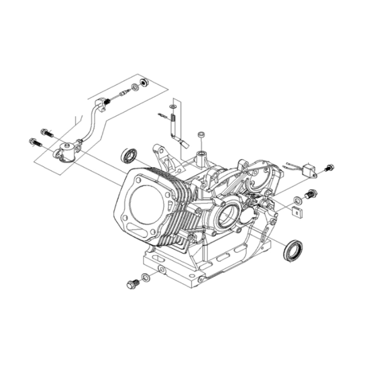 Gruppo Carter nel gruppo  presso GPLSHOP (5966021-01)