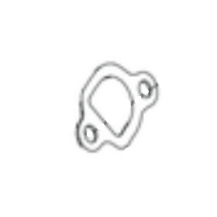 Guarnizione nel gruppo presso GPLSHOP (5966036-01)