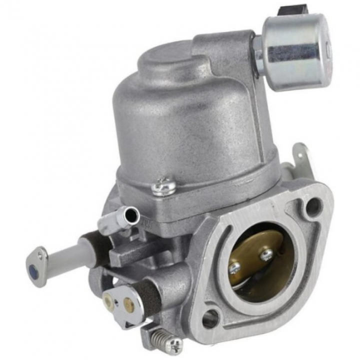 Carburatore nel gruppo I Pezzi Di Ricambio / Ricambi Briggs & Stratton presso GPLSHOP (597128)