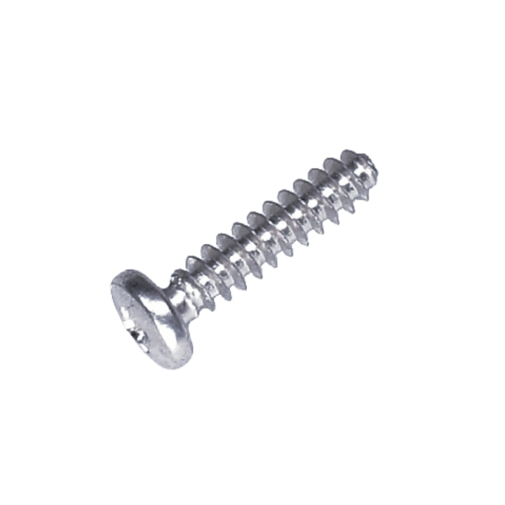 Vite St4.5X20 5975029-01 nel gruppo presso GPLSHOP (5975029-01)