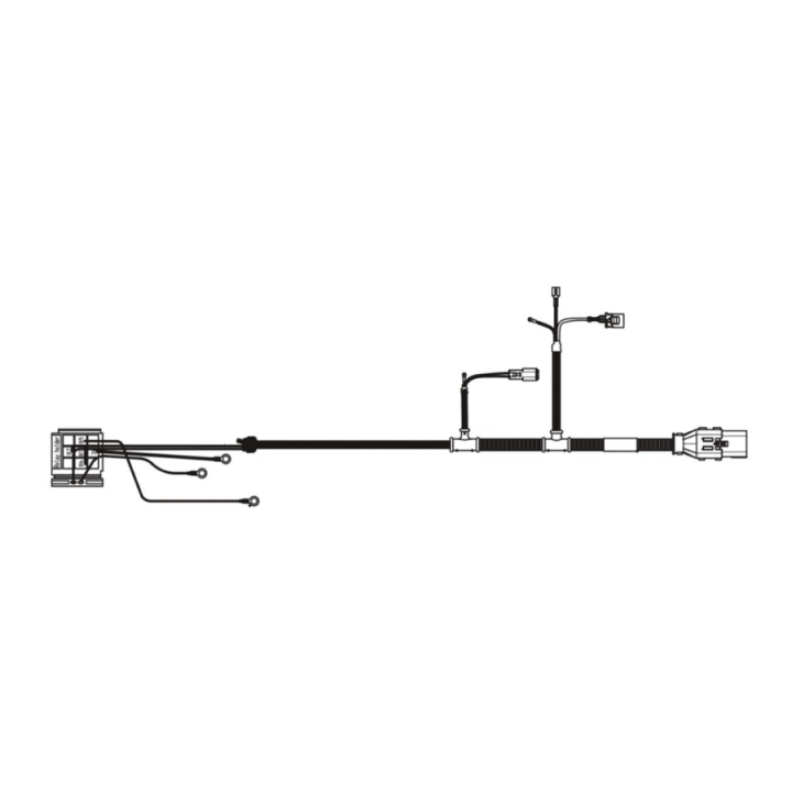 Cablaggio motore e sensori P nel gruppo  presso GPLSHOP (5977567-02)