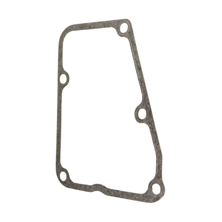 Guarnizione nel gruppo  presso GPLSHOP (5980369-01)
