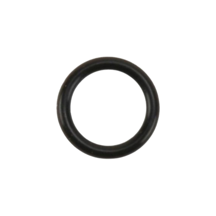O-ring nel gruppo  presso GPLSHOP (5980379-01)