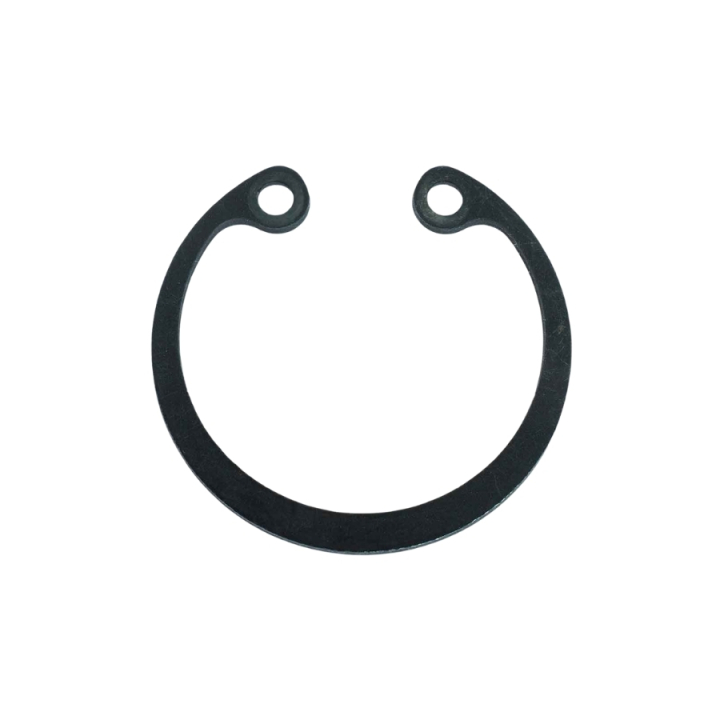 Anello di bloccaggio Sgh 55 nel gruppo  presso GPLSHOP (5985650-01)