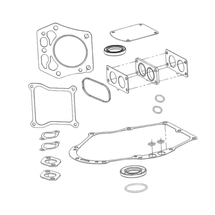 Kit guarnizioni nel gruppo  presso GPLSHOP (5985994-01)